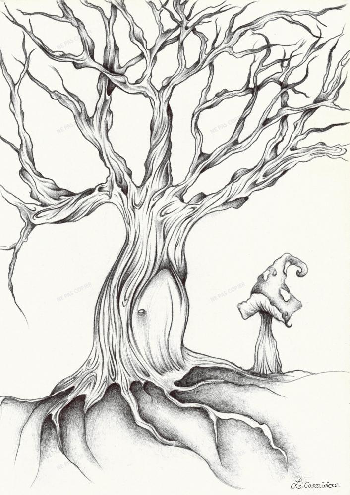 Arbre et porte