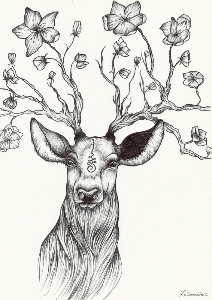 Cerf