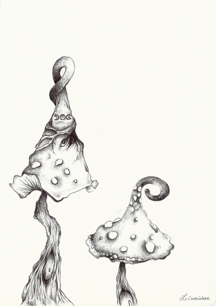 Champignon