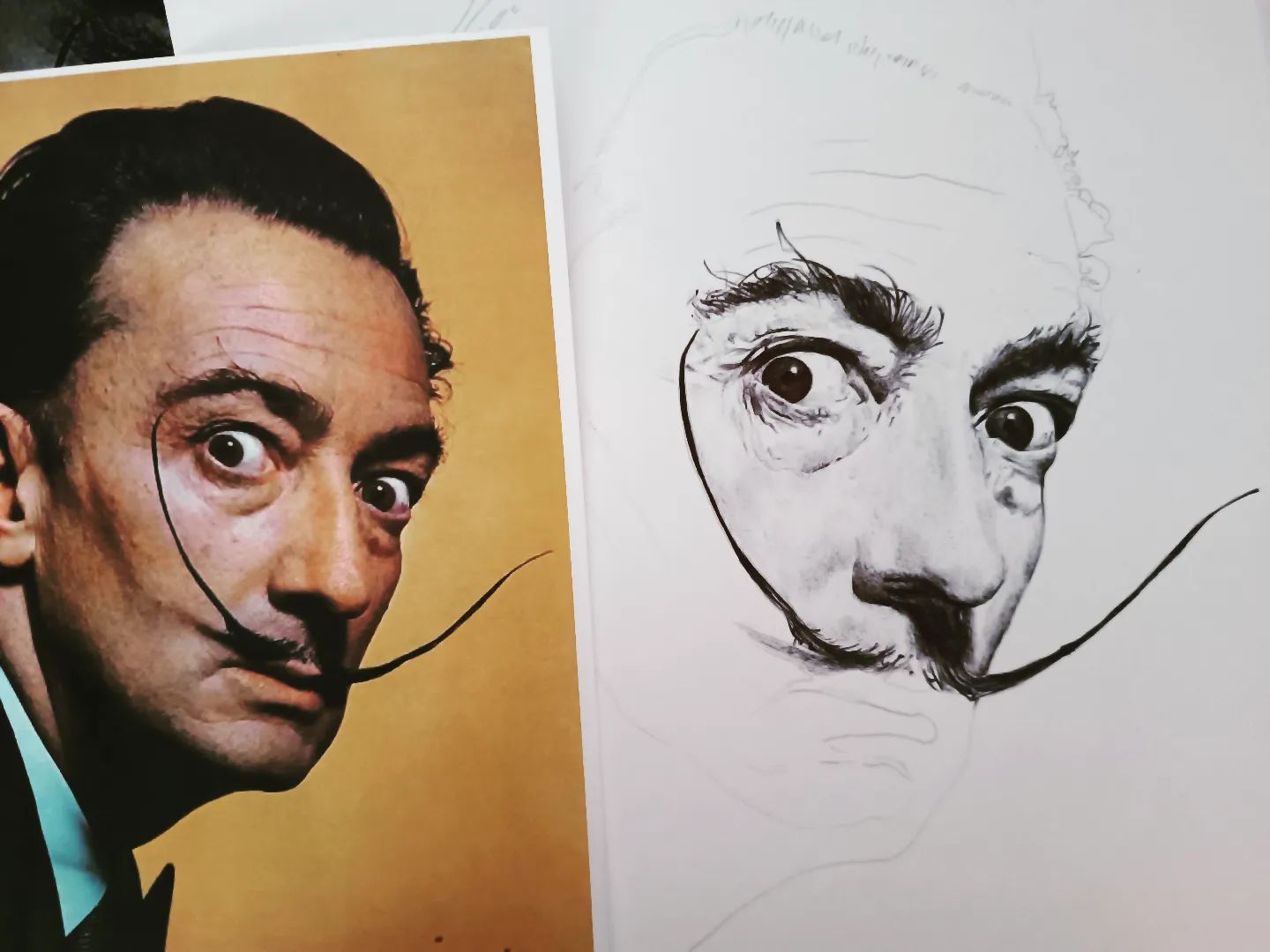 Dali 2023 — vue 1