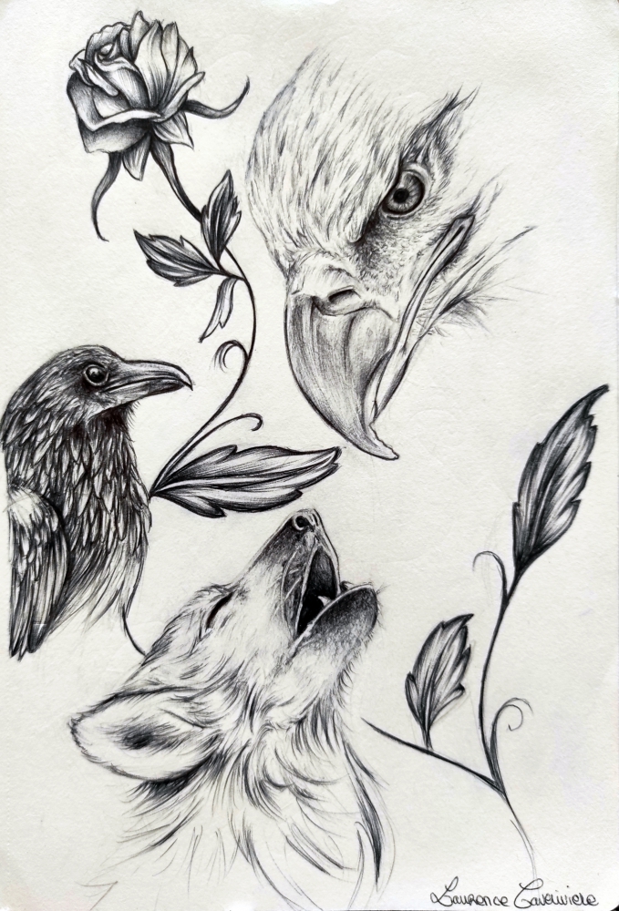 Animaux Totem