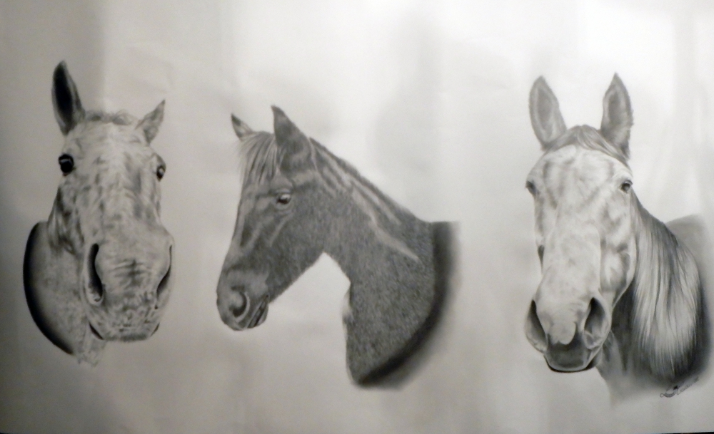 Chevaux — vue 3
