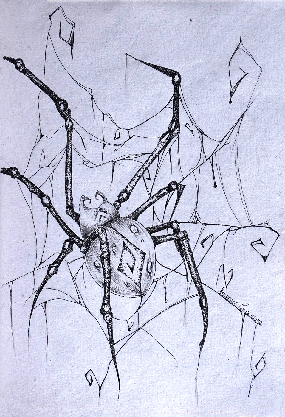 Araignée