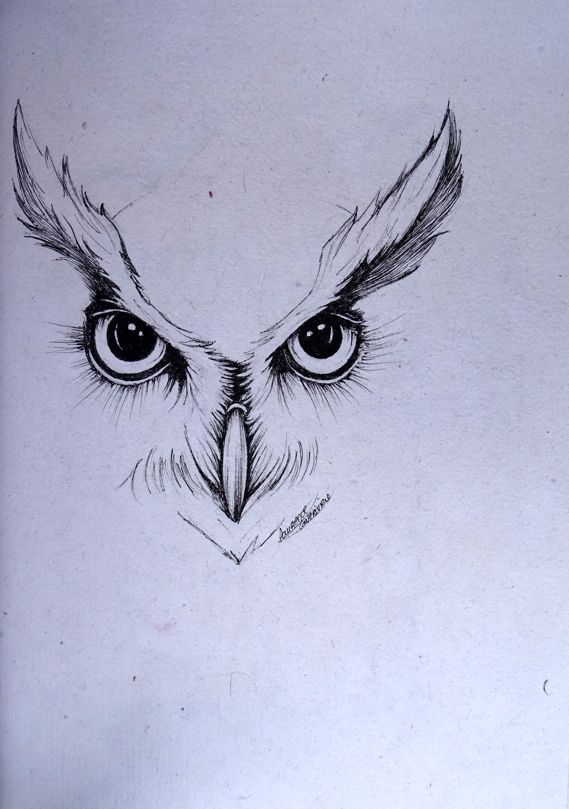 Hibou