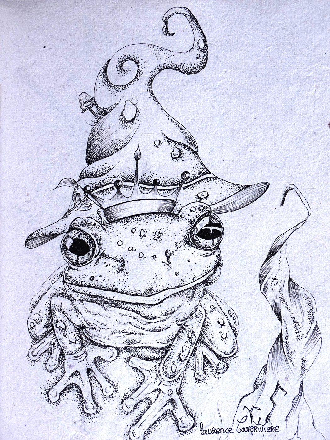 Roi crapaud