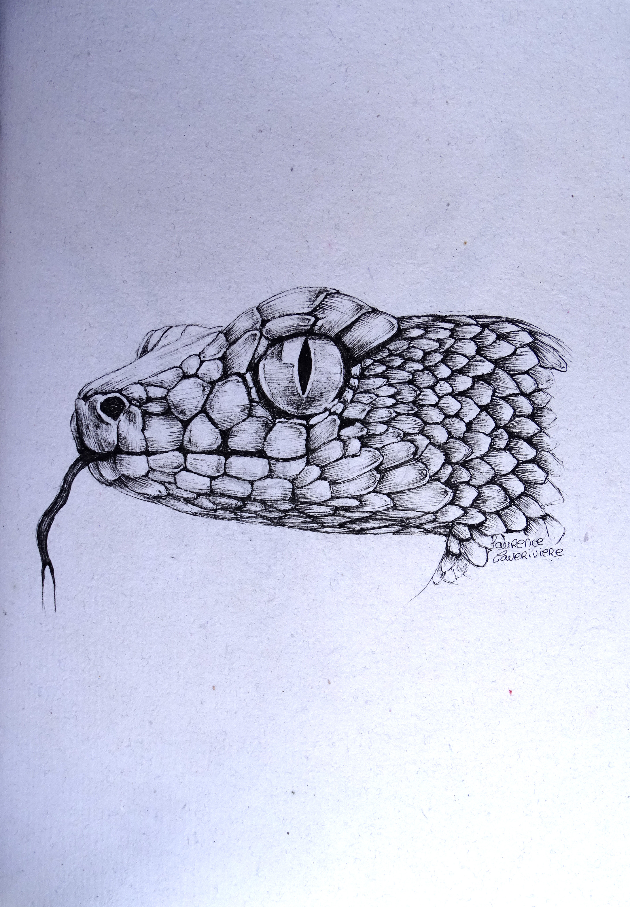 Serpent