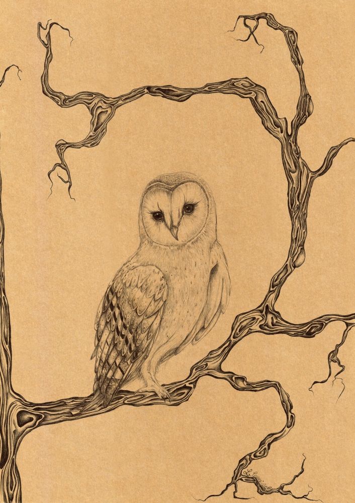 Hibou