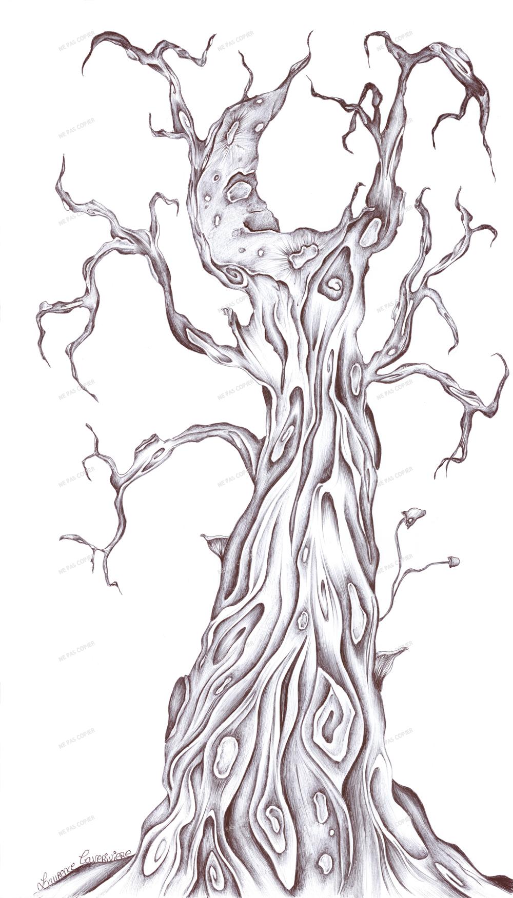 Le dormeur noueux
