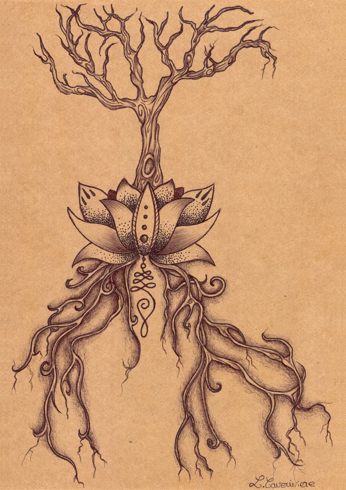 Lotus