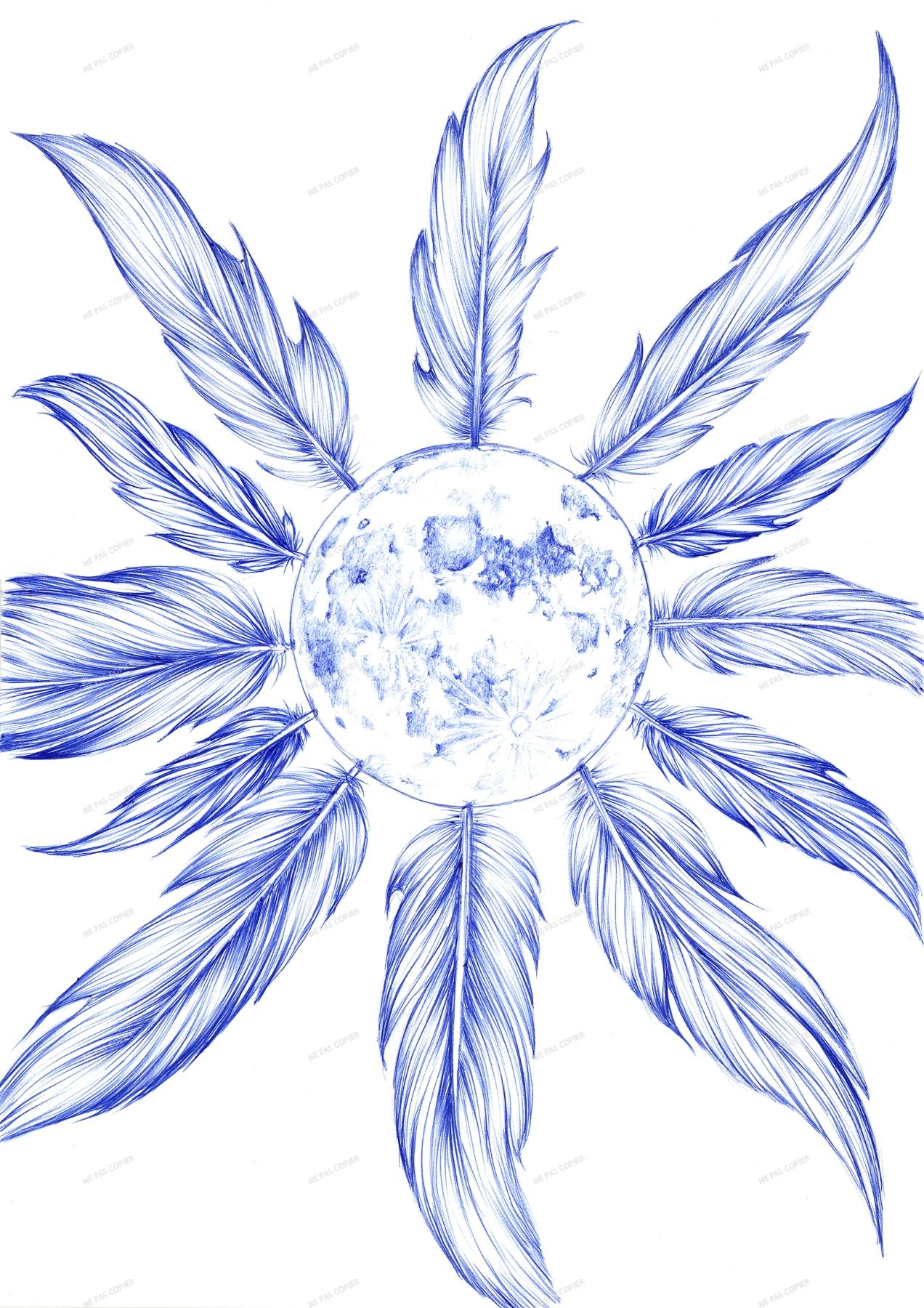 Plumes