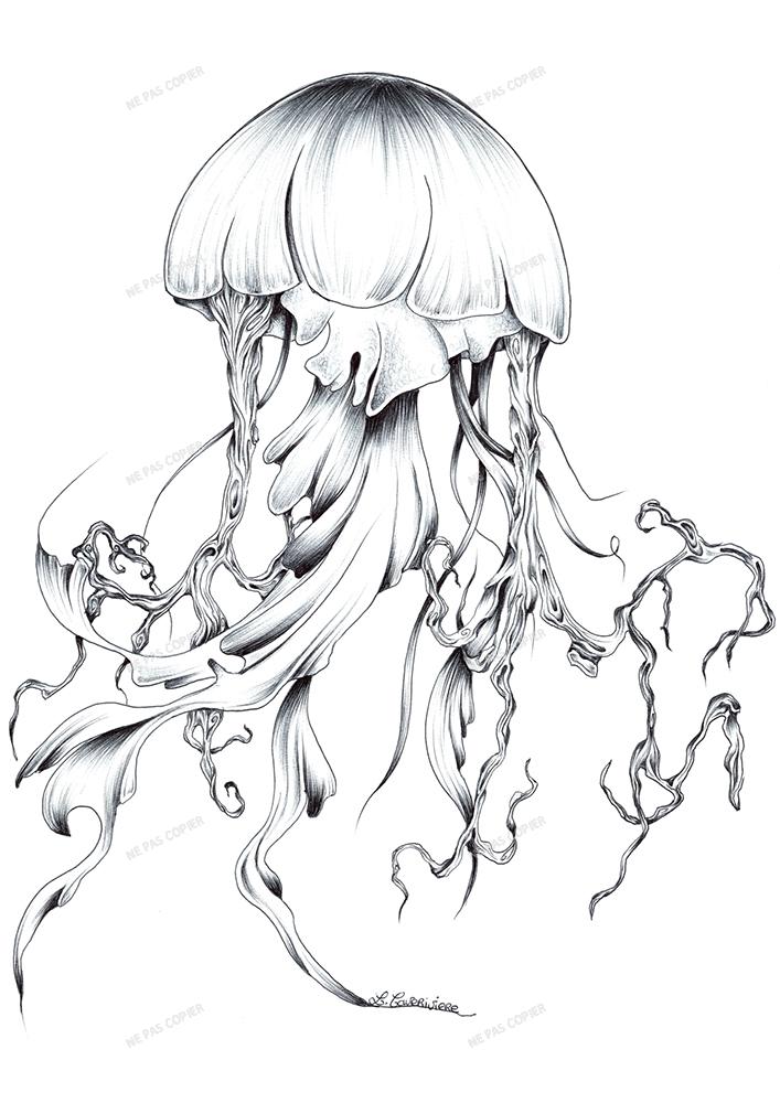 Medusa