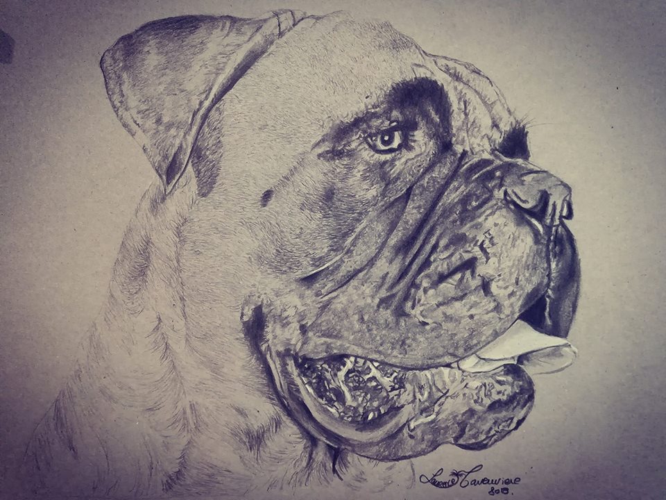Chien