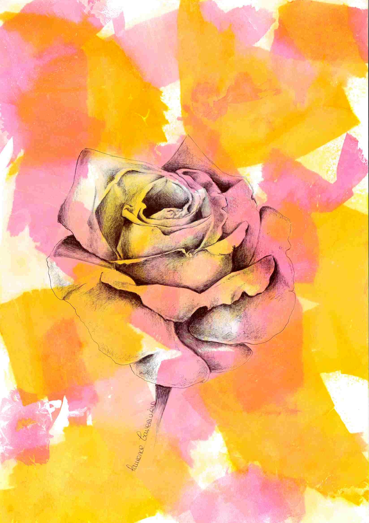 Rose